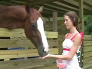فتاة تغذية الحصان
